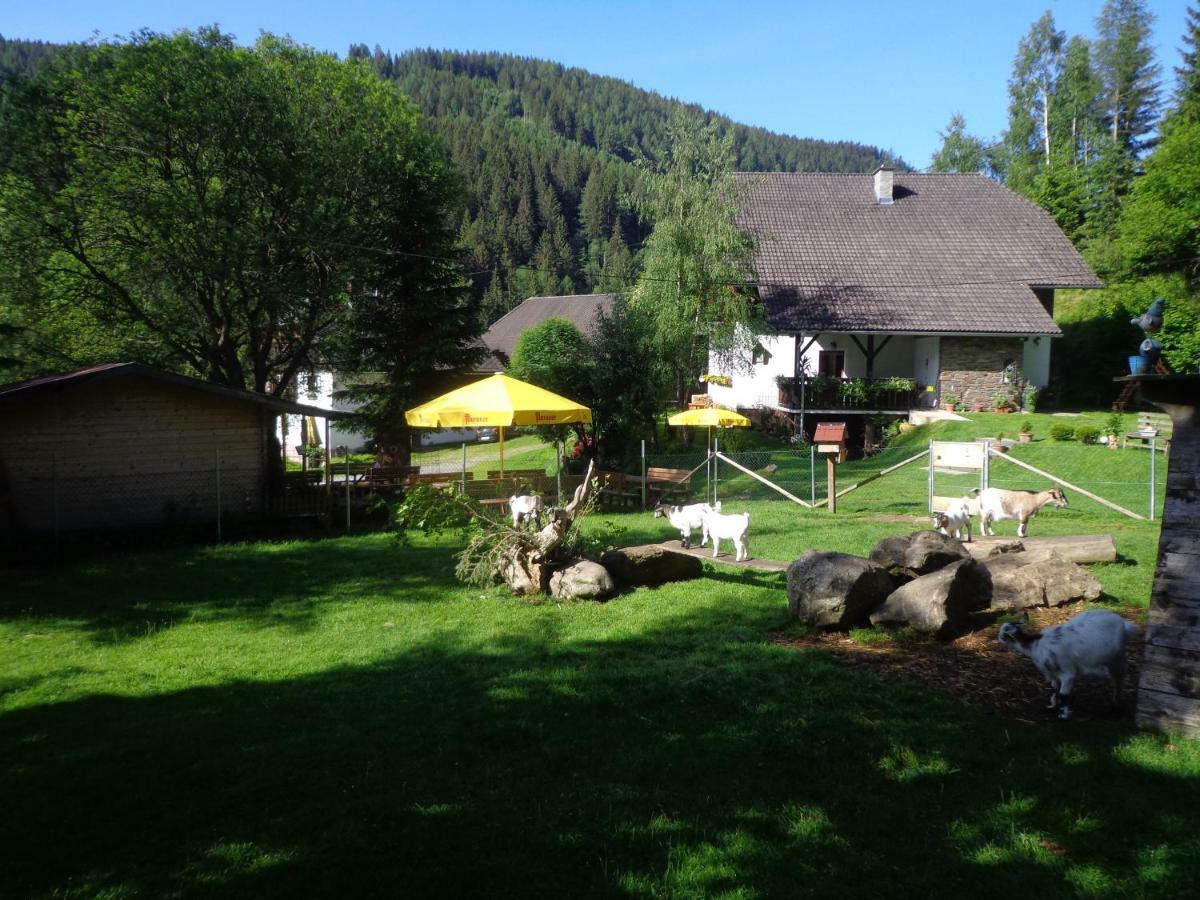 Apartment Zum Wasserfall Krakaudorf Bagian luar foto